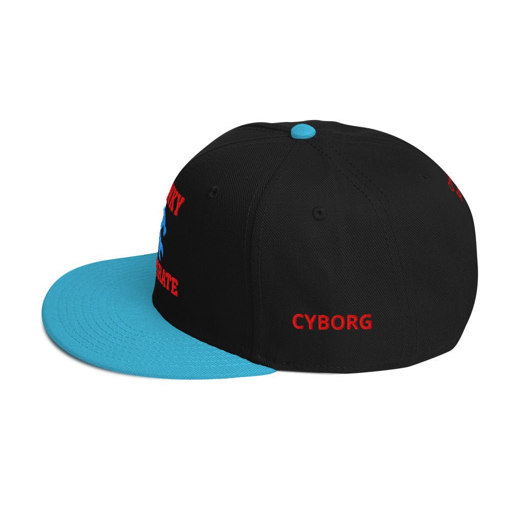 Franky Snapback Hat – One Piece Anime Streetwear Cap - One Piece Raw